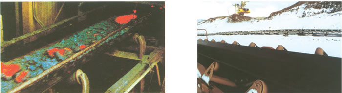 Polyester conveyor belt