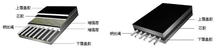 Steel cord conveyor belt