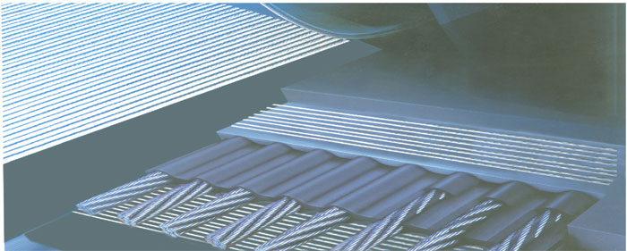 Steel cord conveyor belt
