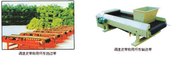 Belt Loop