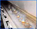 Heat-resistant conveyor belt1